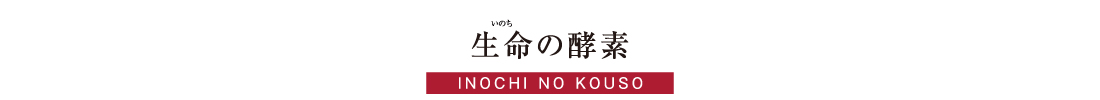 生命の酵素タイトル
